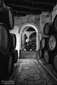 Wine barrels at winery in Spain.