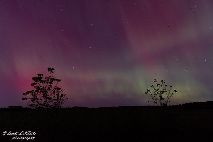 Northern Lights, Waterloo Ontario.